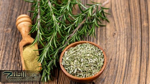 "عشبة مفعولها سحري".. عشبة مذهلة تعيد شبابك مهما كان عمرك.. خلي شبابك يرجع زي الأول