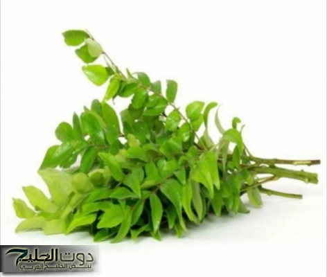 "محدش هيشتكي تاني منه!".. عشبة تزرع في السعودية وعرة تمتص السكر في الدم.. وهي أقوى ثلاث مرة من إبرة الانسولين!!