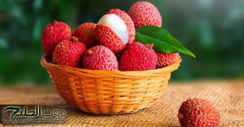 معجزة ربانية !!.. الفلاحين تكشف عن نبات سحري يؤخر الشيخوخة وعلاج فعال للتجاعيد هتفضل في سن العشرين | هتجيبه لو بمليون جنيه