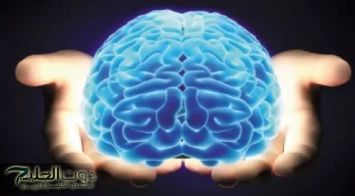 "مش هتصدقي ممكن تعمل أيه".. عشبة بسيطة تقوي الذاكرة وترجع الشايب شباب خلال فترة قياسية!!.. كنز طبيعي!!