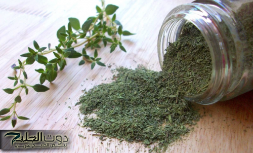 «معجزة أذهلت العالم والعلماء».... عشبة مهملة في كل بيت يجهلها الجميع.. تعيدك شابا حتى لو كنت في الـ 70 من عمرك!!!؟