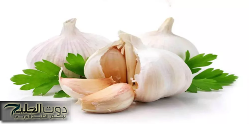 فوائد الثوم السحرية عند بلع فص علي الريق يعزز ويقوي المناعة ويحافظ علي صحتك بدون أضرار جانبيه