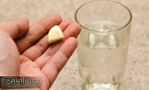 الاطباء هيموتوا ويعرفوها.. الشيخ محمد بن زايد يكشف عن عشبة مفعولها كالسحر تقضي على الورم نهائيا بدون علاج كيميائي