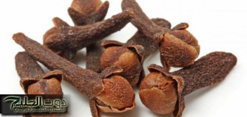ودعي الكوافير والليزر؟!… الفوائد الجمالية للقرنفل وكيفية الاستخدام….استخدمية 3مرات في الاسبوع وادعيلي!!!
