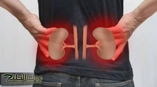 "عشبة ربانية لتنظيف السموم بسرعة!" اكتشف معجزة الطبيعة التي يجب ألا تفوتك!