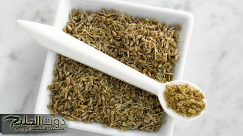 "ضاع عمرنا واحنا منعرفش"..عشبة جبارة موجودة في كل منزل تمنع الكحة تماما وتقضي على مشاكل الرئتين!!