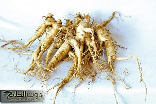 هيختفي تماما من جسمك!!.. فتاة يمنية تكشف عشبة رهيبة مفعولها ممتاز تقضي على الورم الخبيث نهائيا بدون الحاجه الى طبيب