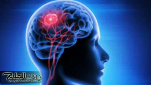 ذاكرتك مش هتخونك تاني!!..3 أحسن تمارين منزلية تساهم في تقوية الذاكرة وتنشيط العقل..هتبطل نسيان توهان وكل الذكريات هتبقي في امان!!