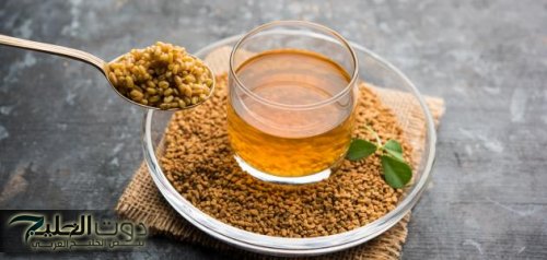 كل داء وليه دواء والحلبة فيعا مليون دواء!!.. أبرز 3 فوائد غاية في الروعة للحلبة..خلي جسمك وبشرتك يستفيدوا!!