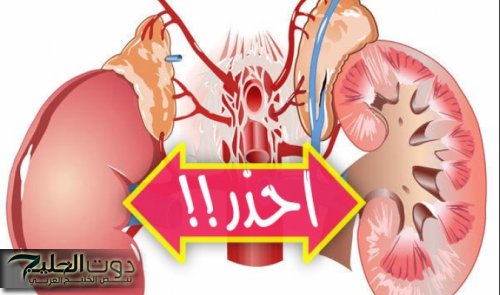 هل كليتك بصحة جيدة .. 6 أعراض تخبرك أن كليتك لا تعمل بشكل سليم