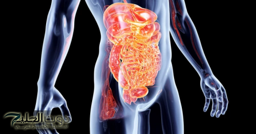 "كنز رباني ثمين موجود في كل بيت".. عشبة بسيطة تنظف القولون من "البراز المتحجر" في دقائق معدودة.. دون الحاجة للطبيب!!