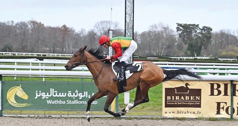 الفرس صوارم تفوز بكأس إسطبلات الوثبة على مضمار بو الفرنسي