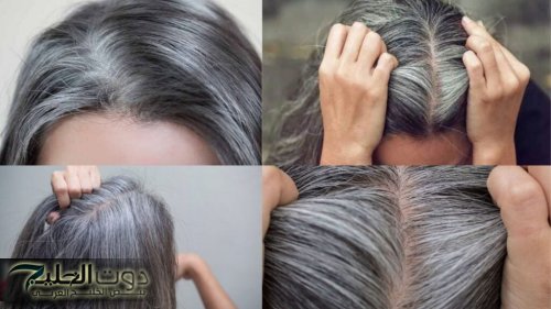انسي الشيب من النهاردة!!... وصفة طبيعية تقضي على الشيب نهائيًا منذ اول استخدام... بدون اي مواد كيميائية!!