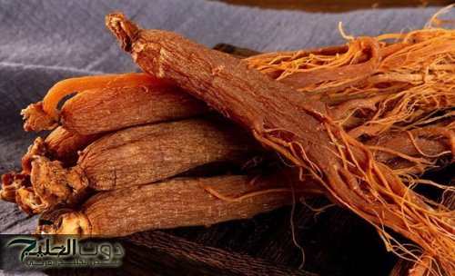 "هتخليك زي الحصان"...عشبة طبيعية تساعد على علاج هذة الأمراض | ستندهش