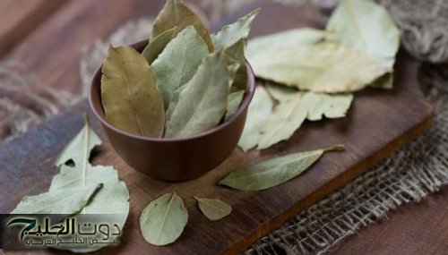 عشبة ربانية معجزة!!... عشبة في كل بيت تنسف الكرش والارداف ودهون البطن في 3 ايام من الاستخدام!