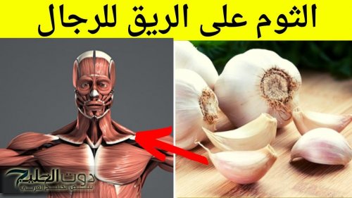 إليكم "كنز الصحة في بيتك".. 5 فوائد لتناول الثوم على الريق في الصباح ماذا يحدث لجسمك عند أخذ فص واحد يومياً !؟