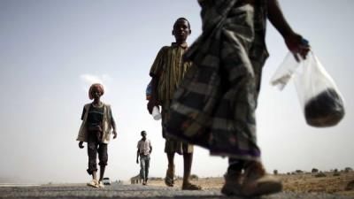 أخبار اليمن : 18035 مهاجر أفريقي وصلوا اليمن في نوفمبر