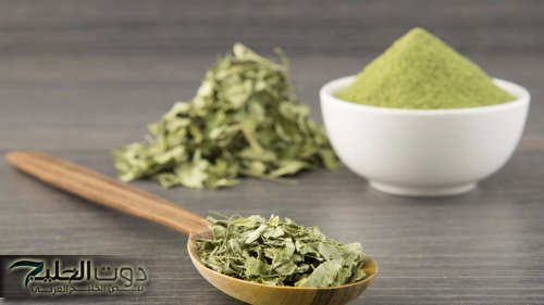 نبات سحري هيغير حياتك.. ناس كتير متعرفوش مع إنه كنز في بيتك!