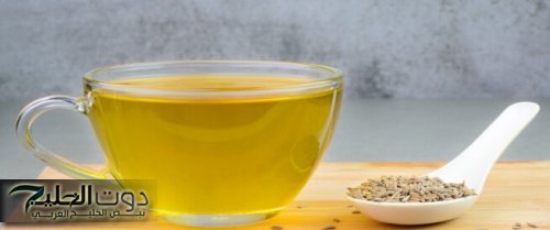 ياريتني عرفتها من زمان.. عشبة مهملة في كل منزل تعالج القولون وتحميك من أمراض خطيرة | «وداعًا للشيخوخة المبكرة»