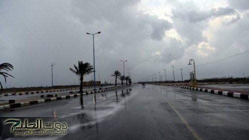 طقس السعودية اليوم | أمطار رعدية ورياح مثيرة والضباب يسيطر على تلك المناطق