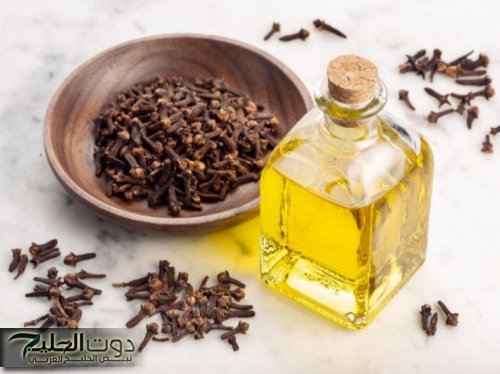 "اعمليه في البيت ووفري فلوسك".. أسهل طريقة لتحضير زيت الزيتون النقي في المنزل بخطوات بسيطة.. كنز صحي غني بالفوائد بين يديك!