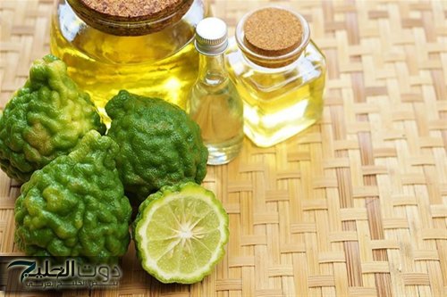 "كنز يساوي ملايين الدولارات".. عشبة هدية للغـلابة من يستخدمها يقوم بتوديع الكرش ودهون البطن في خلال 14 يوم.. معجزة ربانية!!!