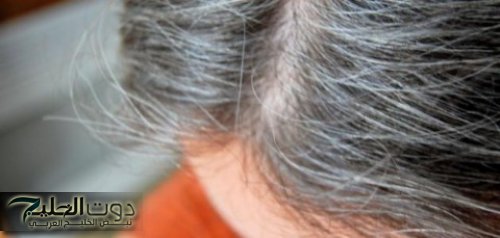 "قل وداعا للشيب".. اكتشف العشبة الطبيعية التي تعيد لشعرك لونه الأصلي دون قطرة كيمياء!”