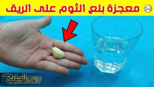 "نص صيدليات مصر هتقفل لو السر ده اتكشف!"... تناول ملعقة واحدة من العسل مع الثوم ع الريق لمدة 3 أيام يصنع المعجزات.. جرب بنفسك!!