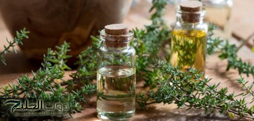 عشبه بتقوي القلب ومليانه بالفيتامينات اللي جسمك محتاجها!!.. نبتة صغيرة بمفعول سحري كنز لمن يمتلكها أذهلت العلماء وشفت الكثير من الامراض!!