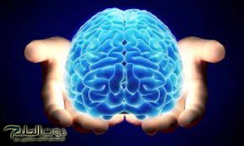 معجزة كبيرة مخطرتش علي بال حد.. طعام بسيط متوفر في الأسواق برخص التراب يغذي المخ ويحسن بنية الدماغ ويقوي الذاكرة خلال وقت قصير .. تناوله فورا !!!