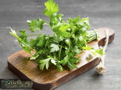 "الحل الآلهي وصل"..عشبة ربانية تعزز الذاكرة، تنشط المخ وتحارب الشيخوخة وتطيل العمر!