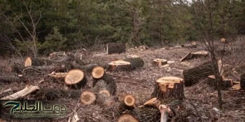 زراعة الزرقاء: تحويل 15 ضبط اعتداء على احراج إلى المحاكم