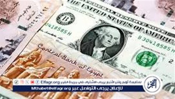 استقرار سعر الدولار أمام الجنيه المصري وآخر تحديثات أسعار الصرف