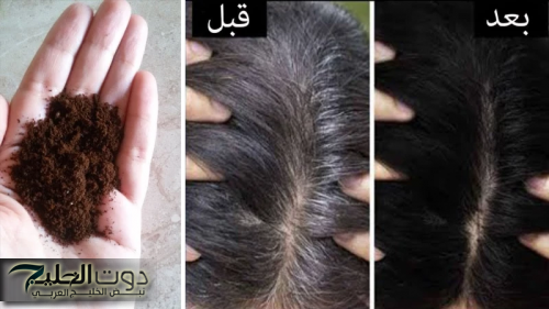 "هدية ربانية زنلت من السما".. القهوة والقرنفل كنز رباني للتخلص من الشيب الابيض بدون صبغة حتى لو كان شعرك كله ابيض والنتيجة مذهلة!!