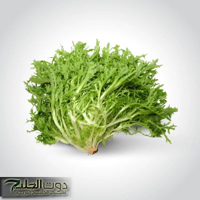 "مكون طبيعي ذو رائحة قوية ومزعجة"... يُحسن الجهاز الهضمي ويُنظم الكولسترول ويخلصك من امراض الرئتين!!