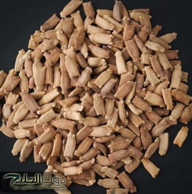 "كنز ثمين في المقلاية ".. لن تتوقع ماذا يحدث لجسمك عند تناول " اللب الخشب " كل يوم بهذه الطريقة!!.. مطلعش للتسلية وخلاص !!