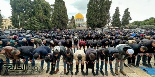 40 ألف مصل يؤدون صلاة الجمعة في المسجد الأقصى
