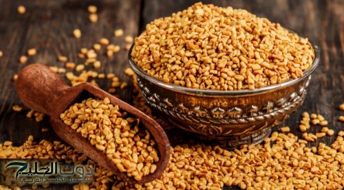 العشبة الربانية الجبارة؟!.. تعمل على ضبط مستويات السكر في الدم وتحسين وظائف الكبد والكلى.. طريقة الإستخدام!!