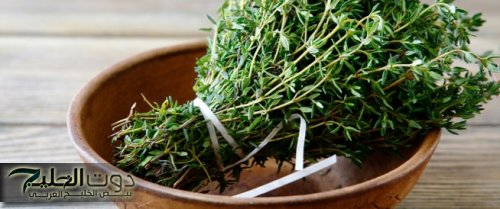 هتندمي انك مكنتيش تعرفيها من زمان؟!.. عشبة مهملة في كل بيت يجهلها الجميع.. تعيدك شابا حتى لو كنت في الـ 70 من عمرك!!!؟