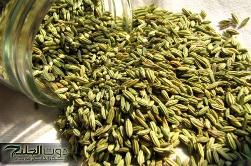 " هذا سر رشاقتي وجمالي " نادين نسيب تكشف عن عشبة سحرية موجودة في كل بيت.. تذيب دهون الكرش العنيدة؟ وصفة مضمونة 100%