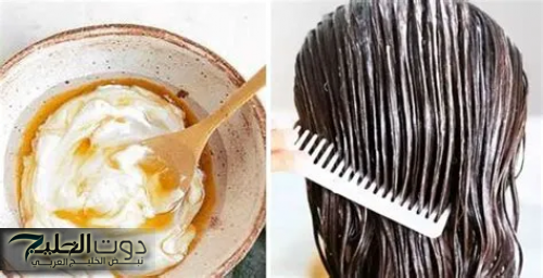 "جارتي الهندية قالتلي عليها".. وصفة سرية هتخلي شعرك يطول بسرعة ويملأ الفراغات.. جربي الوصفة دي وادعيلي