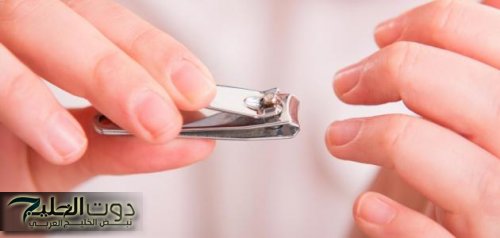 "99% من الناس تجهلها"!!.. إزاي ضاع عمرنا واحنا بنستعمل قصافة الأظافر غلط؟ 7 استخدامات سحرية مش هتصدقها!"