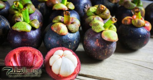 "فاكهة مش هتصدق فوائدها".... كل اللي لازم تعرفه عن المانجوستين