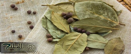 "يوضع سره في أضعف خلقه" بورقة واحدة هاتخسي من غير ما تحسي وكمان هايظبطلك شعرك وينعمه ويطوله وهاتخليكي زي المهرة