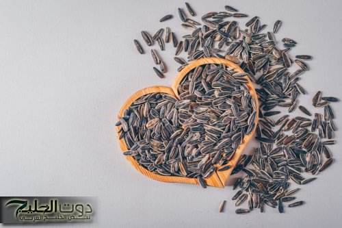 مليان فوائد بالملايين.. فوائد لاتحصي في اللب السوري عند اكله بهذه الطريقة الفعالة جدا.. كنز مهدور حقه