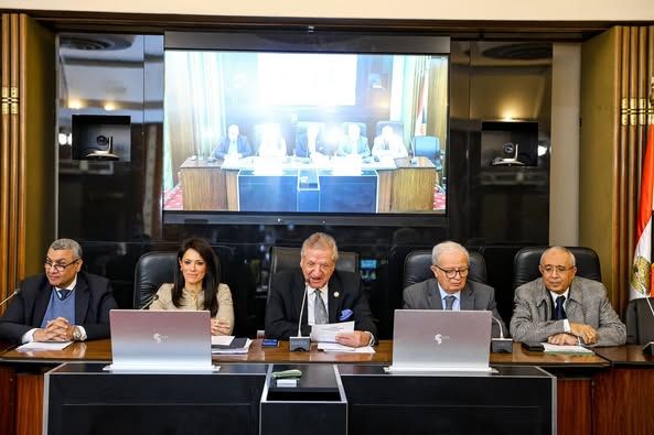 المشاط: إعادة هيكلة الهيئات الاقتصادية لزيادة مساهمتها…