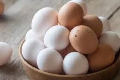 أخبار اليمن : أهم فوائد تناول البيض... تعرف عليها