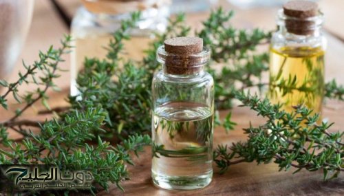 "مالوش مثيل"...يقوّي عضلة القلب وقد يعالج 100 مرض.. دكتور سموم يوضح فوائد الزعتر!!