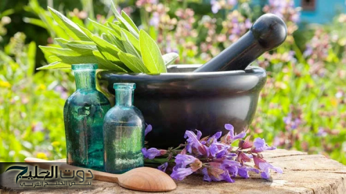 كنز رباني موجود في كل بيت" .. عشبة طبيعية برخص التراب تنظف القولون وتنقي الكبد من السموم وعلاج فعال للسرطان .. هتقول ياريتني جربتها من زمان !!!