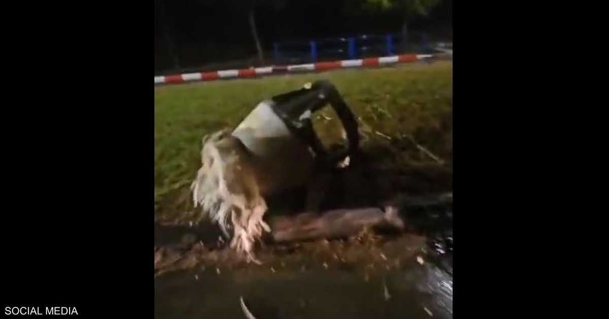 العالم اليوم - الجيش الإسرائيلي يعلن اعتراض صاروخ أطلق من اليمن